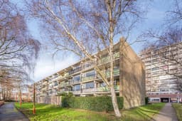 Stortemelk, Alphen Aan Den Rijn