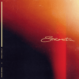 Señorita - Shawn Mendes & Camila Cabello